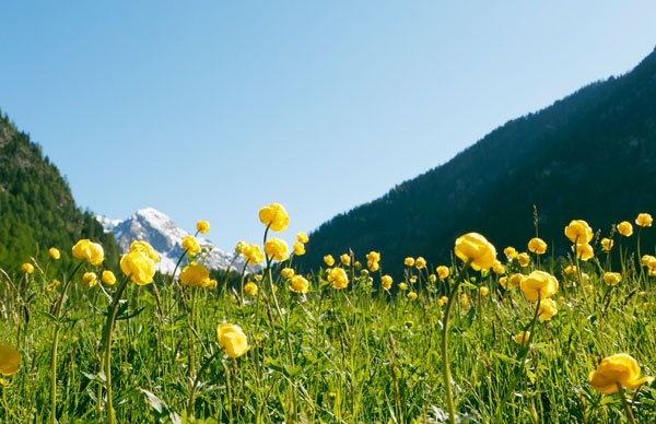 Clima piacevole in estate 